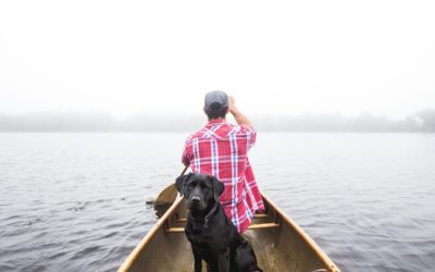 How to Keep Your Pet Safe Around Boats and Lakes This Summer